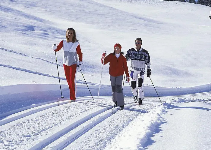 Tirol Am Wildenbach Niederau