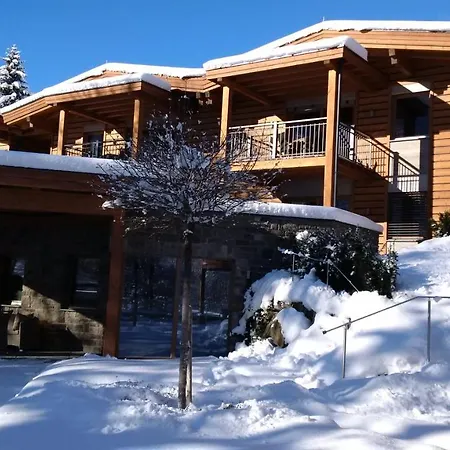 Tirol Am Wildenbach 4* 涅德劳