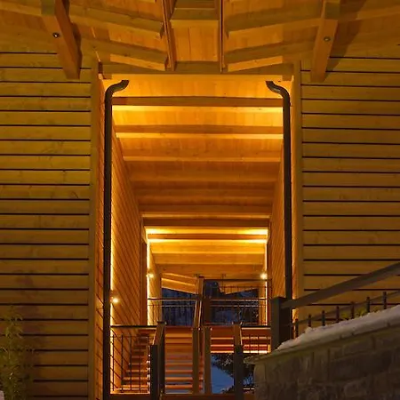 公寓式酒店 Tirol Am Wildenbach 涅德劳