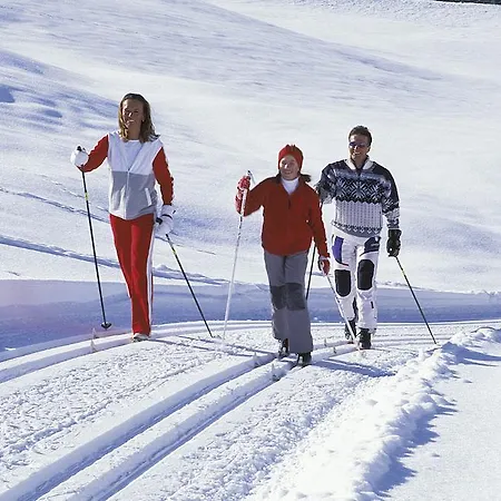 Tirol Am Wildenbach 涅德劳