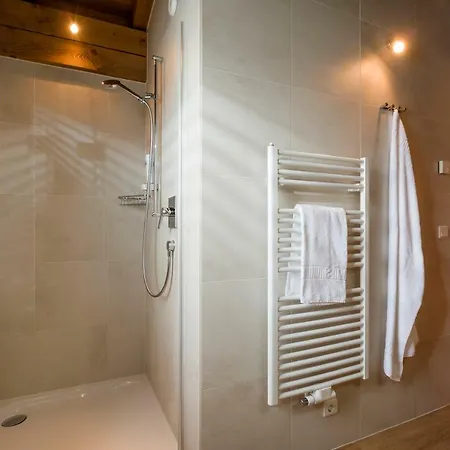 Aparthotel Tirol Am Wildenbach Niederau